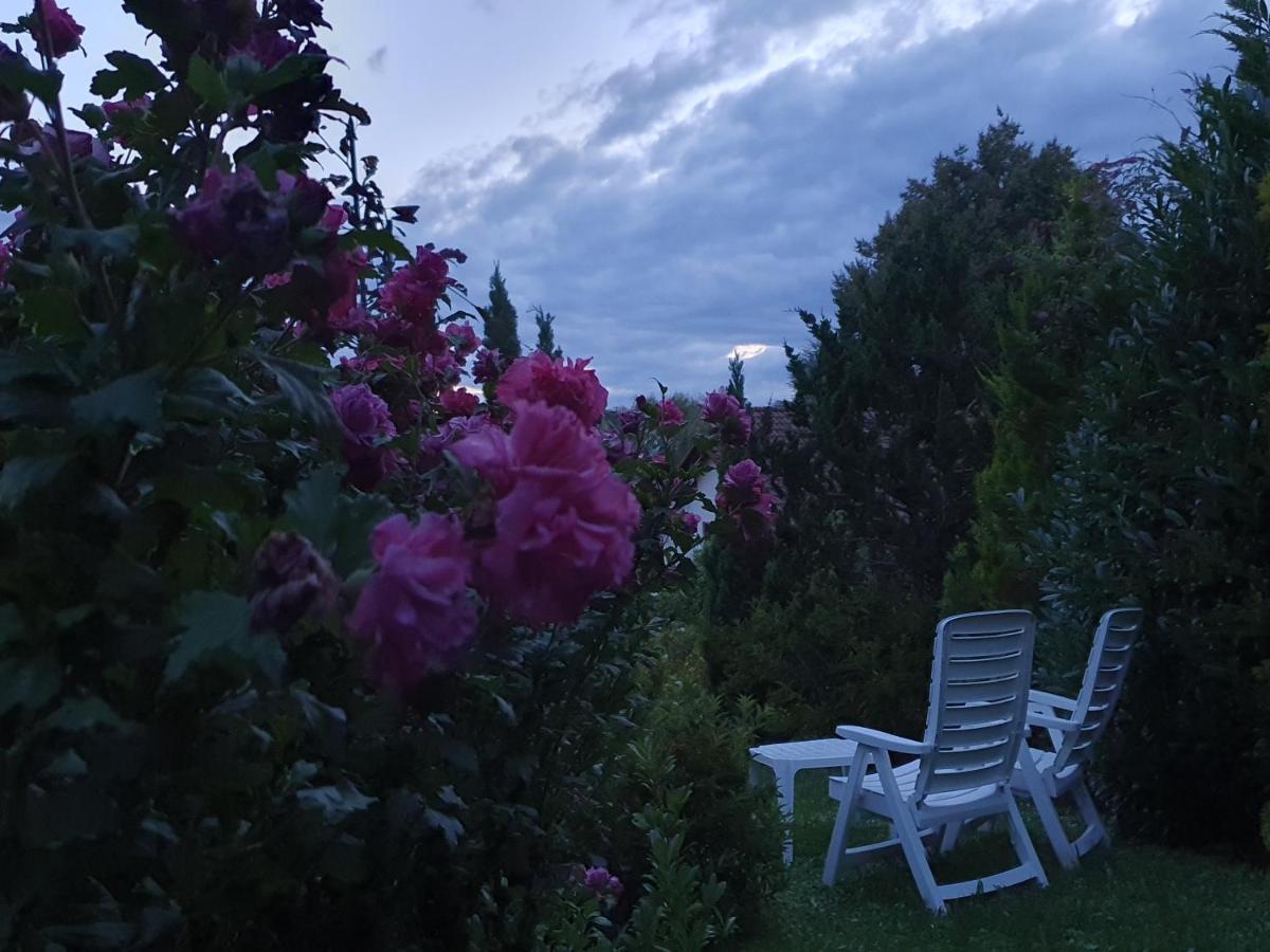 Villa Maja Markdorf Esterno foto